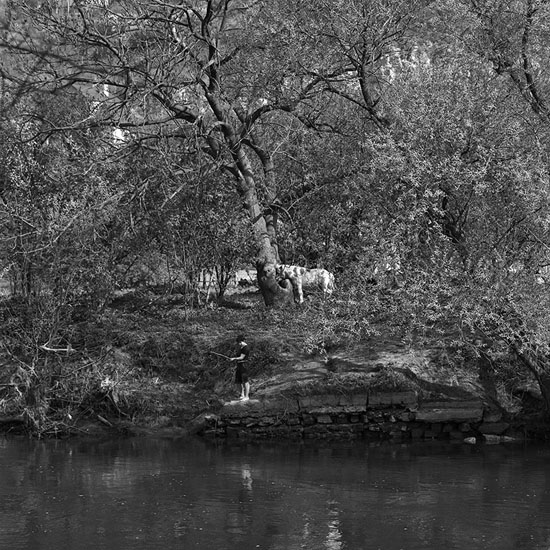 Ein Ausblick vom ehemaligen Treidelpfad [Naumburg], welcher von der Fährstelle Henne zur
Einmündung der Unstrut an der Saale entlang fährt, zum gegenüberliegenden Blütengrund.
Seiner Mutter nach soll das der liebste Spazierweg von Friedrich Nietzsche gewesen sein.

Thomas Steinert
1990/99, Piezo-Pigment-Print, 40 x 40 cm, Ed. 7 

